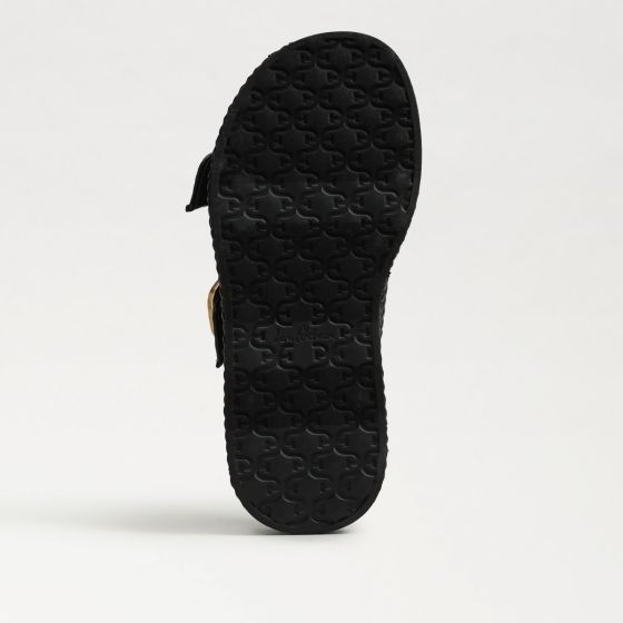 Black-Sole